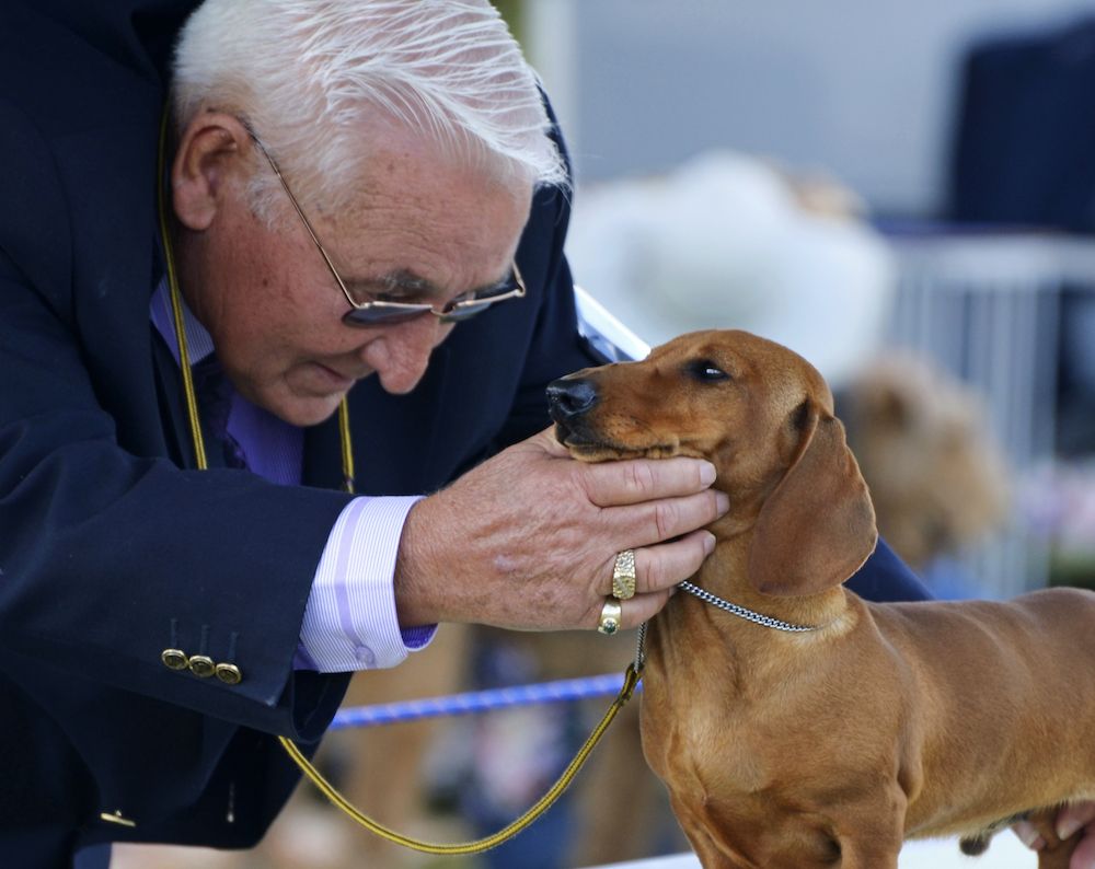 Putting Together a Judging Panel